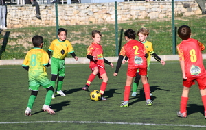 656266dbd350d_LAU8558.JPG