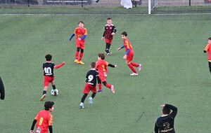 67a0d881ebe07_DSC1061.jpg