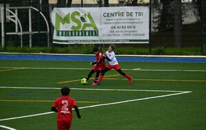 67ee44abbf030_DSC4028.jpg