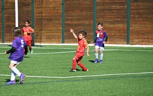 680e63dc481eb_LAU5017.jpg