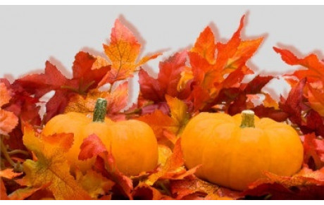 Vacances de la Toussaint